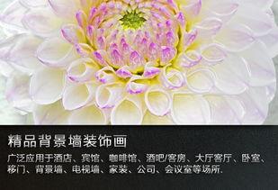 琉璃背景简介,探寻千年古韵，揭秘神秘琉璃文化之旅  第2张