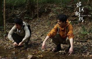 电影郊区的鸟花絮,揭秘电影背后的感人故事与幕后英雄