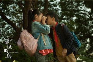 电影郊区的鸟花絮,揭秘电影背后的感人故事与幕后英雄  第2张