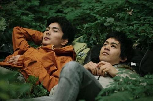 电影郊区的鸟花絮,揭秘电影背后的感人故事与幕后英雄  第3张