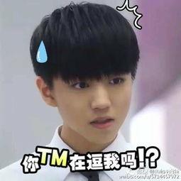 小凯盖章表情包