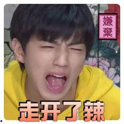 小凯盖章表情包  第2张