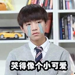 小凯盖章表情包  第3张