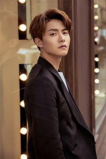 马天宇照片.,光影流转，魅力四溢  第3张