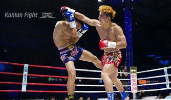 昆仑决安琪资料  第2张