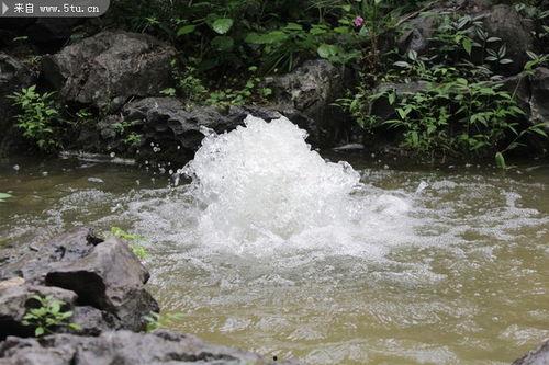 泉水的资料  第3张
