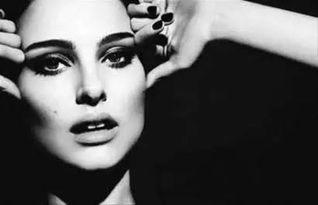 欧美娱乐圈高学历